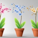 1279281_flowers_in_pot_6[2]