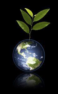 1158743_gaia_with_plant_2