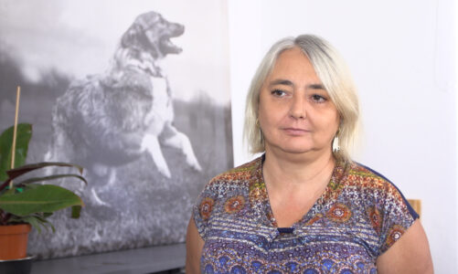 Czipowanie pozwala o jedną czwartą zmniejszyć bezdomność psów i kotów. UE chce wprowadzić taki obowiązek